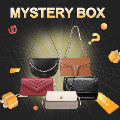 Handbag Mystery Box